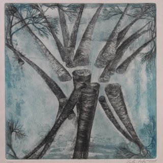 Stromy, suchá jehla, lept, 38x40,5